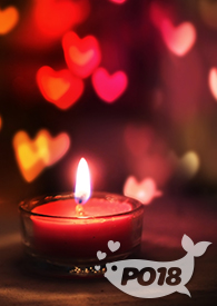 双修?可以拒绝吗(NPH)